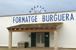 Formatge Burguera - Käse aus Campos