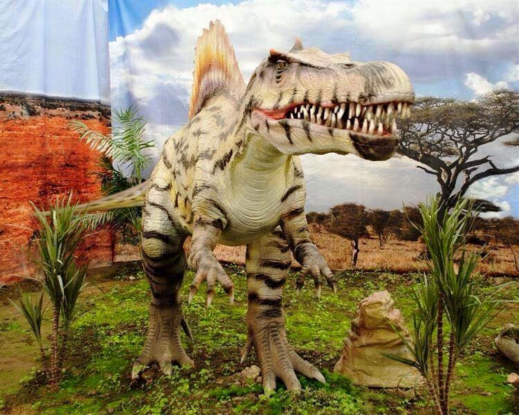 Dinosaurier Ausstellung Mallorca