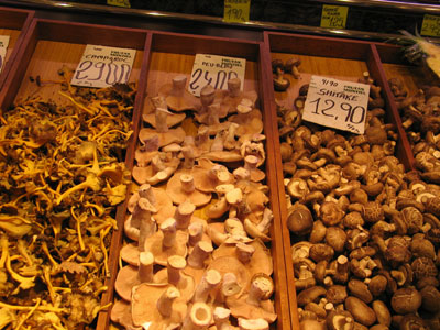 Pilze auf Mallorca