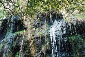 Wasserfall in der Reserva Puig de Galatzó